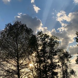 Meet your Posher, Mary amelia